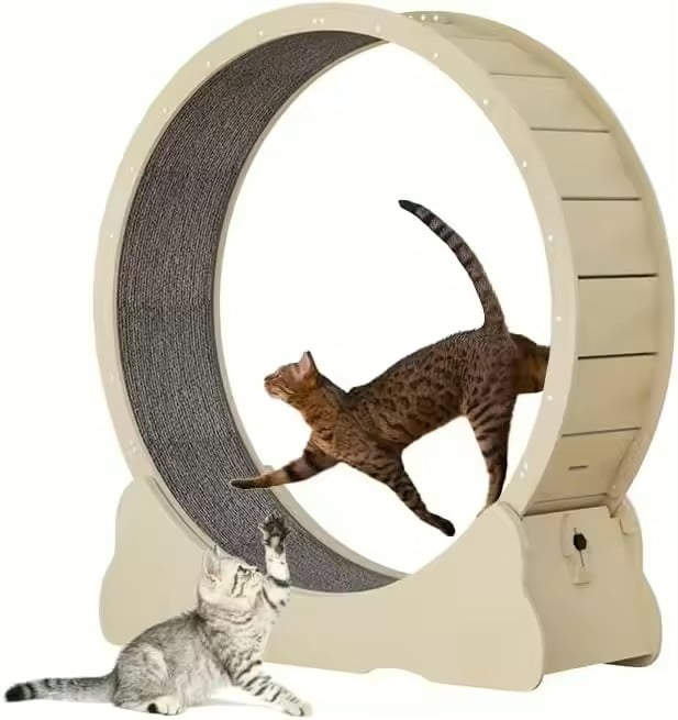 Cat Exercise Wheel Indoor Cat Exercise Wheel Indoor